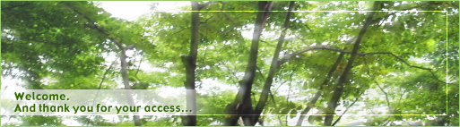 �Ԍ���s�̃T�j�[�I�[�g